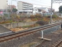 41732-2.jpg