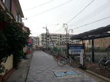 41732-4.jpg