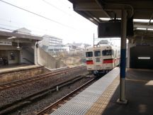41732-6.jpg