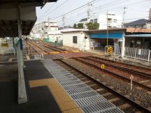 41733-1.jpg
