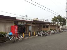 41733-4.jpg