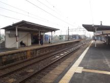 41734-1.jpg