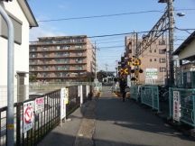 41739-1.jpg