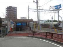 41743-4.jpg