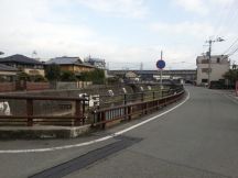 41743-5.jpg