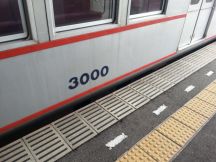 41743.jpg