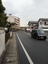 41746.jpg