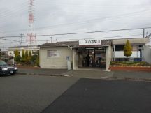 41748-1.jpg
