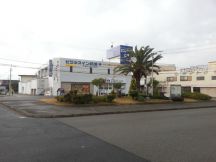 41748-2.jpg