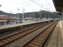 41761-1.jpg