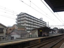 41762-5.jpg