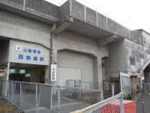 41765-3.jpg