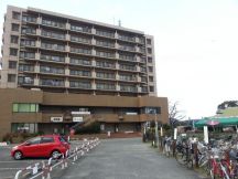41766-1.jpg
