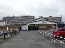 41766.jpg