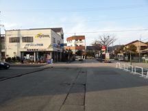 41768-2.jpg