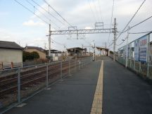 41769-1.jpg