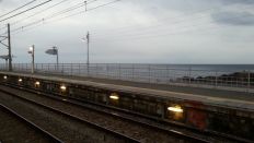 41775-1.jpg