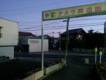 41791-6.jpg