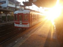 41793-6.jpg