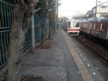 41793.jpg