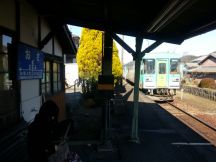 41806-7.jpg