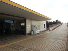 41817-5.jpg