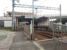41817.jpg