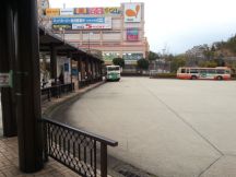 41829-5.jpg