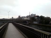 41830-5.jpg