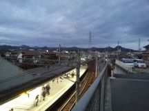41833-6.jpg