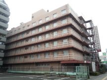 41907-4.jpg