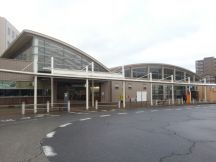 41908-4.jpg