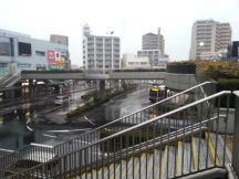 41977-6.jpg