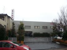 41991-4.jpg