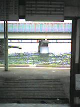 040723_1319~001.jpg