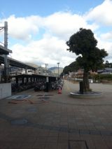 42151-6.jpg