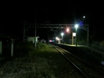 42177-6.jpg