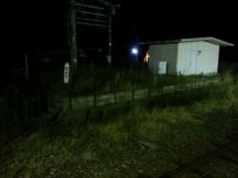42177-7.jpg