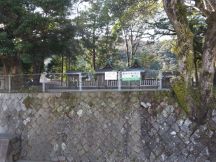 42200-2.jpg