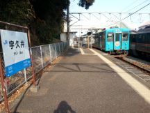 42203.jpg