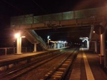 42225-1.jpg