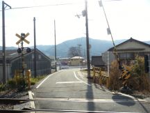 42241-2.jpg
