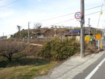 42241.jpg