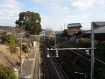 42247-4.jpg