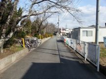 42251-2.jpg