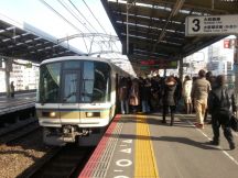 42254.jpg