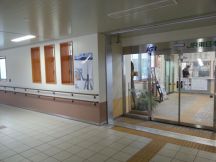 42299-2.jpg