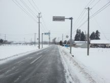 42301.jpg