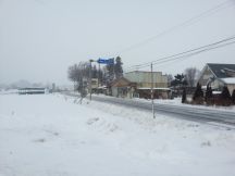 42302-1.jpg