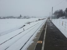 42302-2.jpg
